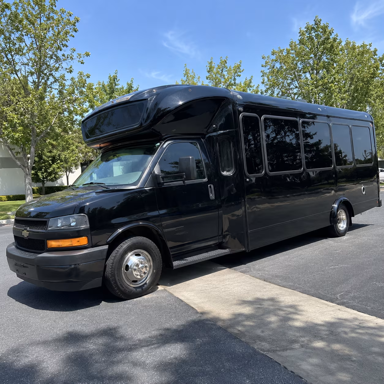 baton rouge 15 passenger party bus